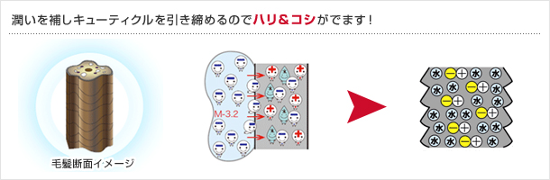 潤いを補しキューティクルを引き締めるのでハリ＆コシがでます！