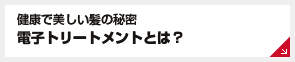 健康で美しい髪の秘密 電子トリートメントとは？